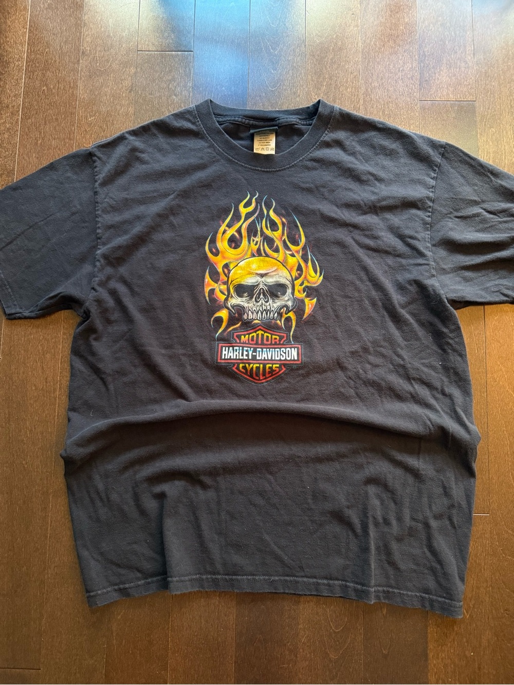 Vintage Harley-Davidson Black Skull & Flames 2007 Graphic Langley BC y2k Tee L